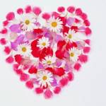 Сердце из цветов